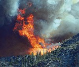 Blackfeet wildland fire lawsuit not settled