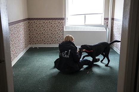 &lt;p&gt;Otis, one of 300 FEMA certified dogs for urban search and rescue, plays with Coeur d&#146;Alene Fire Department volunteer Linda Decker who stood in as a &#147;victim&#148; for dogs to find as part of a training exercise Friday. The dogs are rewarded with a toy and a bout of high energy play time after successfully finding a &#147;victim. &#148;&lt;/p&gt;