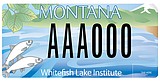 New license plate helps lake group