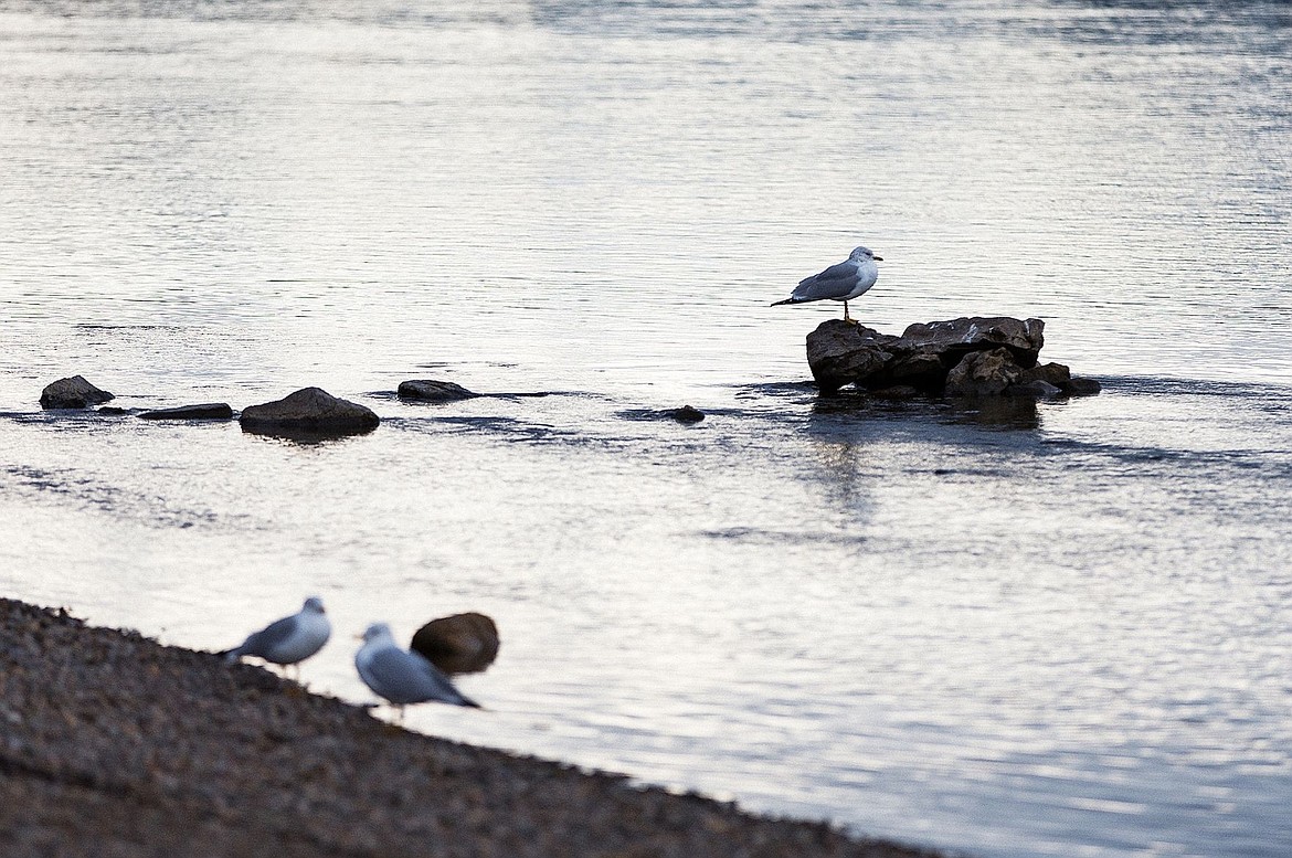 Water watch