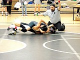 Four Warrior wrestlers advance