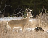 Sportsmen defend global warming as fact