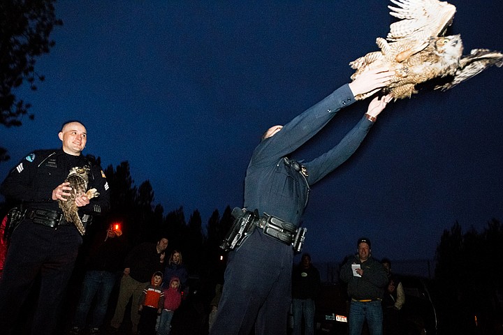 &lt;p&gt;Sgt. Mark Brantl, with the Post Falls Police Department, releases a great horned owl Monday near the area where the bird was found injured as Sgt. Gary James looks on. The owl, that was captured by the two officers and a neighborhood resident, was rehabilitated by Birds of Prey Northwest.&lt;/p&gt;