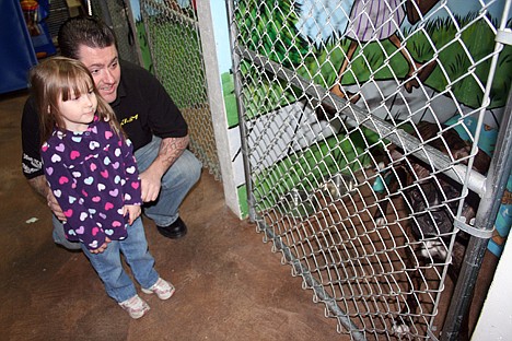 &lt;p&gt;Tim White and his daughter Pyper of Post Falls get to know boxer Gunner. Gunner, being held at the Paw and Claws Pet Resort in Coeur d'Alene, was saved by North Idaho Boxer Rescue and is up for adoption.&lt;/p&gt;