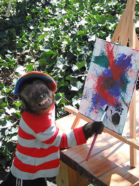 &lt;p&gt;This 2008 photo provided by Stacy Gunderson shows Crystal, a 1-foot-7-inch female Capuchin monkey painting in her home in Los Angeles.&lt;/p&gt;