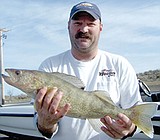 Fresh News from MarDon