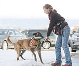 Sniffing out trouble