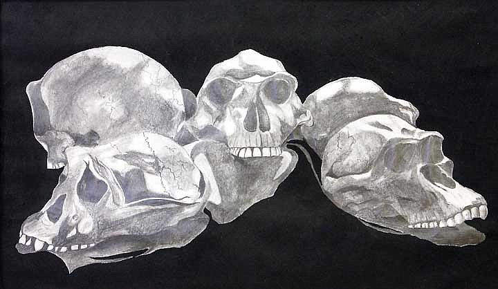 This entry named &quot;Skulls&quot; is a pencil and charcoal by Emmanuel Hidalgo, ninth grader from Wahluke High School. The teacher is James Manecke.