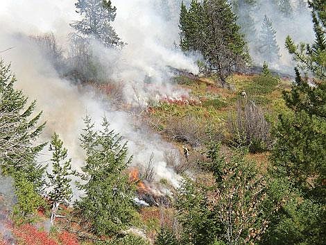 Photo courtesy U.S. Forest Service<br>The Superior Ranger District Fire Crew works to control a prescribed burn in Lolo National Forest last year.