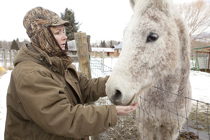 &lt;p&gt;Virginia Carter pets Baby, an Arabian mare, on Tuesday afternoon
at her ranch in Ferndale. Baby was the pack horse for Carter&#146;s
husband, Tom, before he died of brain cancer earlier this month.
Carter already has had 14 horses adopted but is trying to find
homes for another 15 horses.&lt;/p&gt;