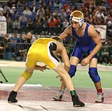 Cougars' final 1A push ends in third