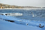 Another winter ending without Flathead freezing over