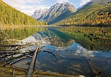 Climate change models forecast forest changes