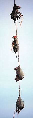 Four sheep are transported via helicopter Friday from Wild Horse Island to Big Arm State Park.