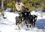 Flathead Classic Sled Dog Race