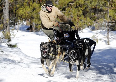 dog sled 4.jpg