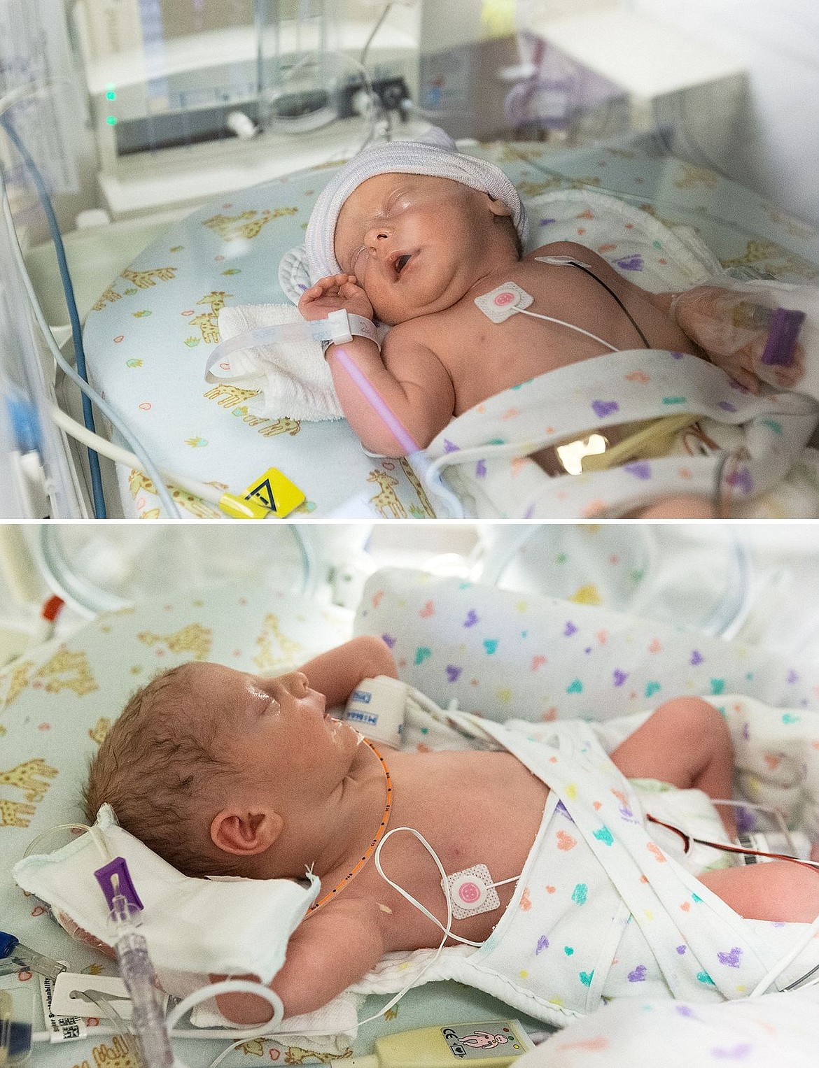 &lt;p&gt;Twin boys Shiloh and Costa Lambas were born just before 1 p.m. on Monday, leap day, at Kootenai Health in Coeur d'Alene.&lt;/p&gt;