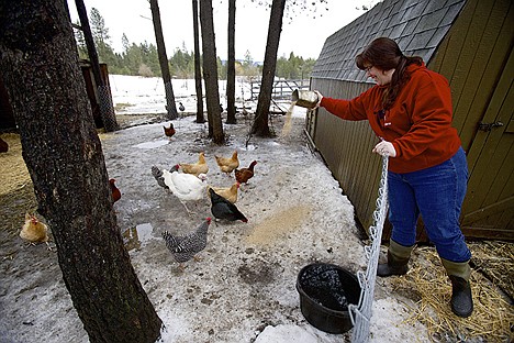 &lt;p&gt;Deirdre Rushing feeds her chickens Friday on her five-acre farm north of Garwood which she raises chickens, pigs, ducks, a milking cow and owns two horses. She is teaching a chicken-raising workshop at the University of Idaho extension office in Coeur d'Alene.&lt;/p&gt;