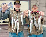 Fresh News from MarDon