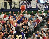 Cats barrel their way into state