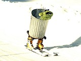 Big Mountain dummy derby
