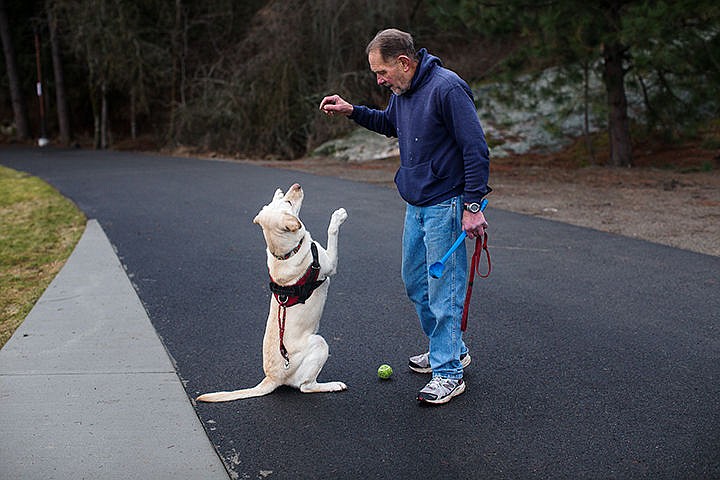 &lt;p&gt;Lee Brack tells his three and a half-year-old yellow lab, Katie, to sit while they play fetch on the North side of Tubbs Hill on Tuesday night. Brack and Katie walk around Tubbs Hill every morning at 6 a.m.&lt;/p&gt;