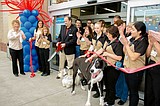 New Petco store marks grand opening