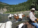 Back Country Horsemen have big year in the Bob