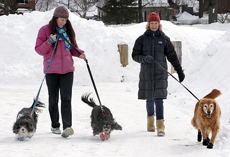 &lt;p&gt;Malia Ebel, left, walks her dogs, Seymour, left, and Sanders, both Cavalier King Charles spaniel mixes, alongside Wendy Olcott and her golden retriever, Sunny, as each dog wears winter booties, Sunday in Concord, N.H. A harsh winter across the country has pet owners buying the boots to protect their pets' paws.&lt;/p&gt;