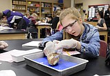 Students flock to biomedical class