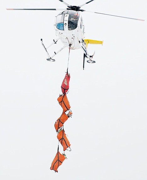 &lt;p&gt;A helicopter lowers five bighorn sheep to Big Arm State Park last week after the sheep were captured on Wild Horse Island.&lt;/p&gt;