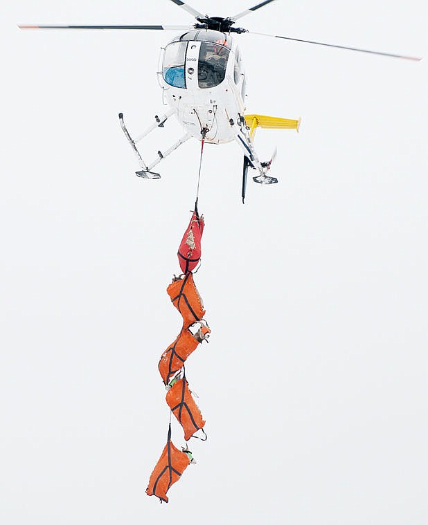 &lt;p&gt;A helicopter lowers five bighorn sheep to Big Arm State Park Wednesday morning after the sheep were captured on Wild Horse Island. Montana Fish, Wildlife and Parks planned to capture 60 bighorn sheep from the island to relocate to other herds near Kootenai Falls and the southern Cabinet Mountains.&lt;/p&gt;