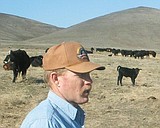 State cattle industry split on court decision