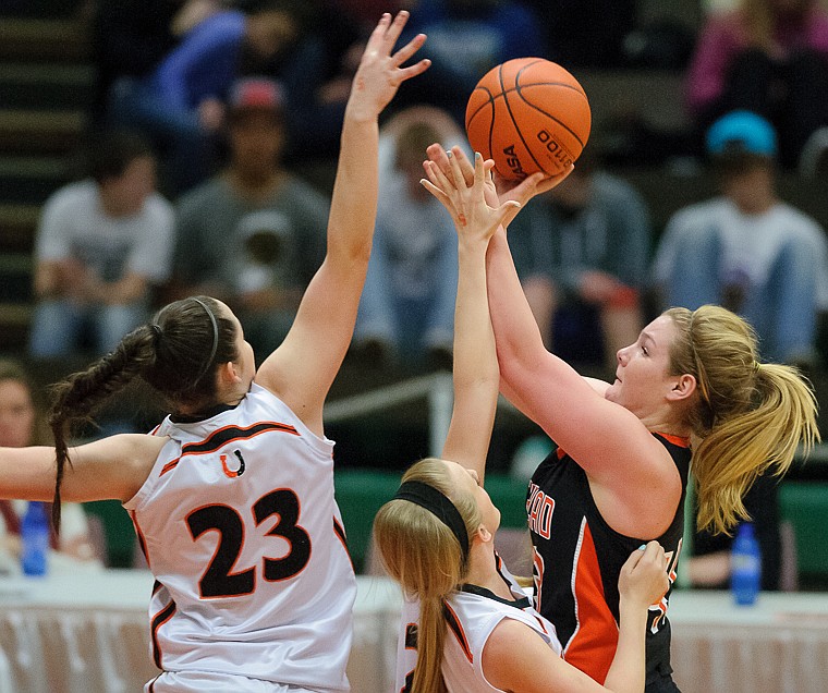 &lt;p&gt;Flathead junior Jenessa Heine (43) puts up a shot Friday afternoon during Flathead's matchup against Billings Senior on the second day of the Class AA state basketball tournament at Four Seasons Arena in Great Falls. Friday, March 8, 2013 in Great Falls, Montana. (Patrick Cote/Daily Inter Lake)&lt;/p&gt;