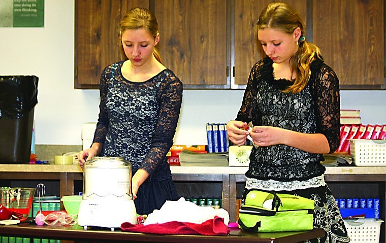 &lt;p&gt;Laurel and Meara Schmiedbauer demonstrating how to properly make homemade ice cream.&lt;/p&gt;