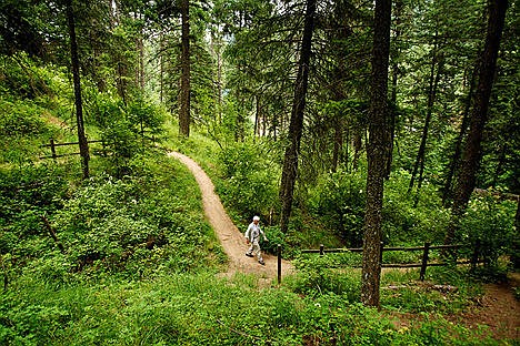 &lt;p&gt;In this July 19, 2011 file photo, Harold Smith hikes down the Mineral Ridge Nature Trail during one of his twice weekly outings to the popular hiking area. Recreation managers for the Bureau of Land Management will issue a temporary closure order for the Mineral Ridge Trail for hazard tree removal beginning at&#160;12:01 a.m. on Monday, March 16, and continuing through&#160;6:00 a.m. Thursday, March 19.&lt;/p&gt;