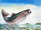 State fish art contest deadline March 31