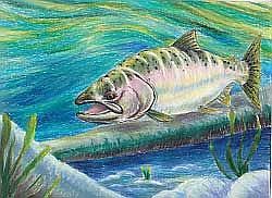 Michelle Lee, of Oregon, placed second in the K through 3 grade category with this artwork of a chinook salmon in the 2014 contest.