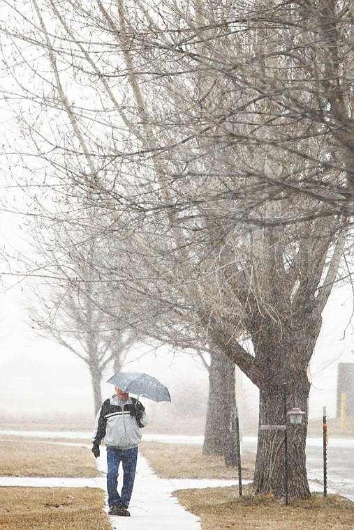 <p>A man walks under the cover an umbrella to deflect falling snow Wednesday morning near the Ashley Park subdivision in south Kalispell. Wednesday, March 6, 2013 in Kalispell, Montana. (Patrick Cote/Daily Inter Lake)</p>
