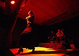 A night of Flamenco at Crush Lounge