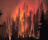 A new way to pay for large wildfires