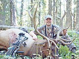 Saturday is the deadline to apply for elk hunting permits