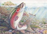 State fish art contest deadline approaches