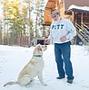 C-Falls dog survives wolf attack