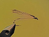 Minimalist minnow a great fly