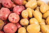Washington Potatoes Greatly Benefit From KORUS FTA