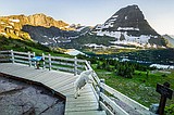 Conservancy looks to give $1.21 million to Glacier National Park projects