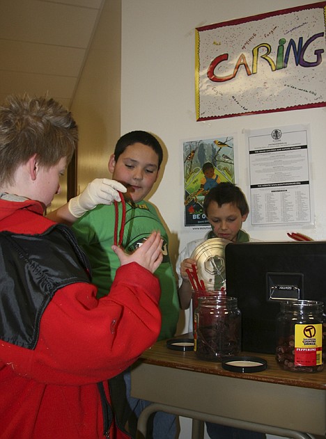 &lt;p&gt;West Ridge Elementary fifth-grader Paul Sand, far left, buys licorice from Chris Hunt, center, and Brock Zeller at the Post Falls school on Thursday. Proceeds from the snack sales will be donated to the American Red Cross to help victims of the earthquake and tsunami in Japan.&lt;/p&gt;