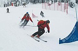 Skiercross and Banked Slalom results