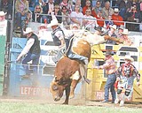 Bulls kick up dust Saturday